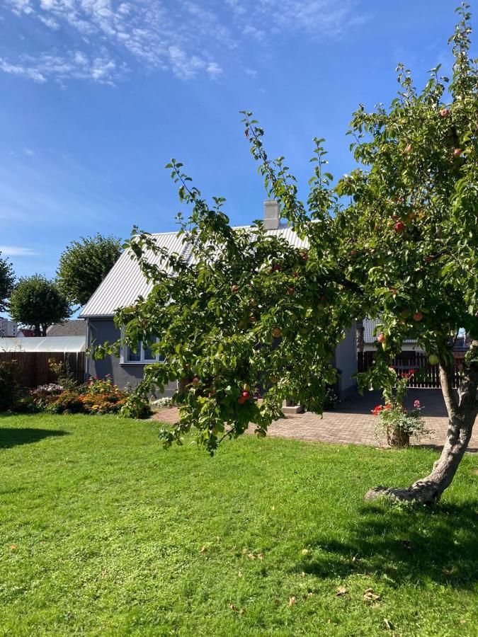 Brivdienu Maja Saulite Ventspils Buitenkant foto